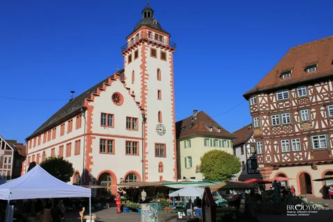 LANDKREIS MOSBACH