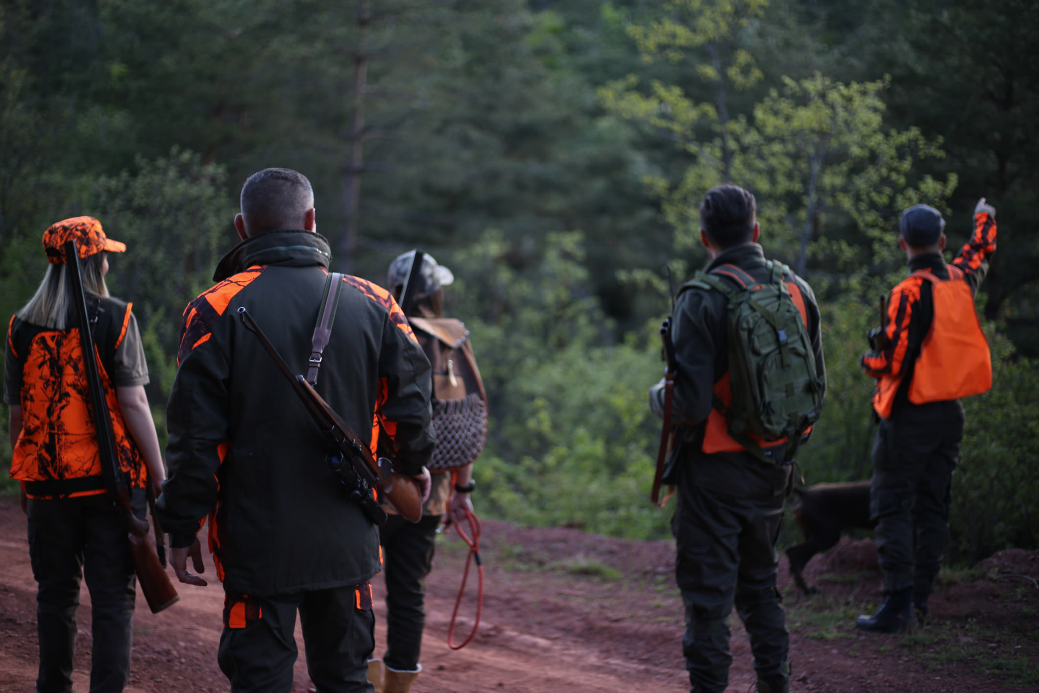 Erfolgsquote, Jagdschein, Jäger, Treibjagd